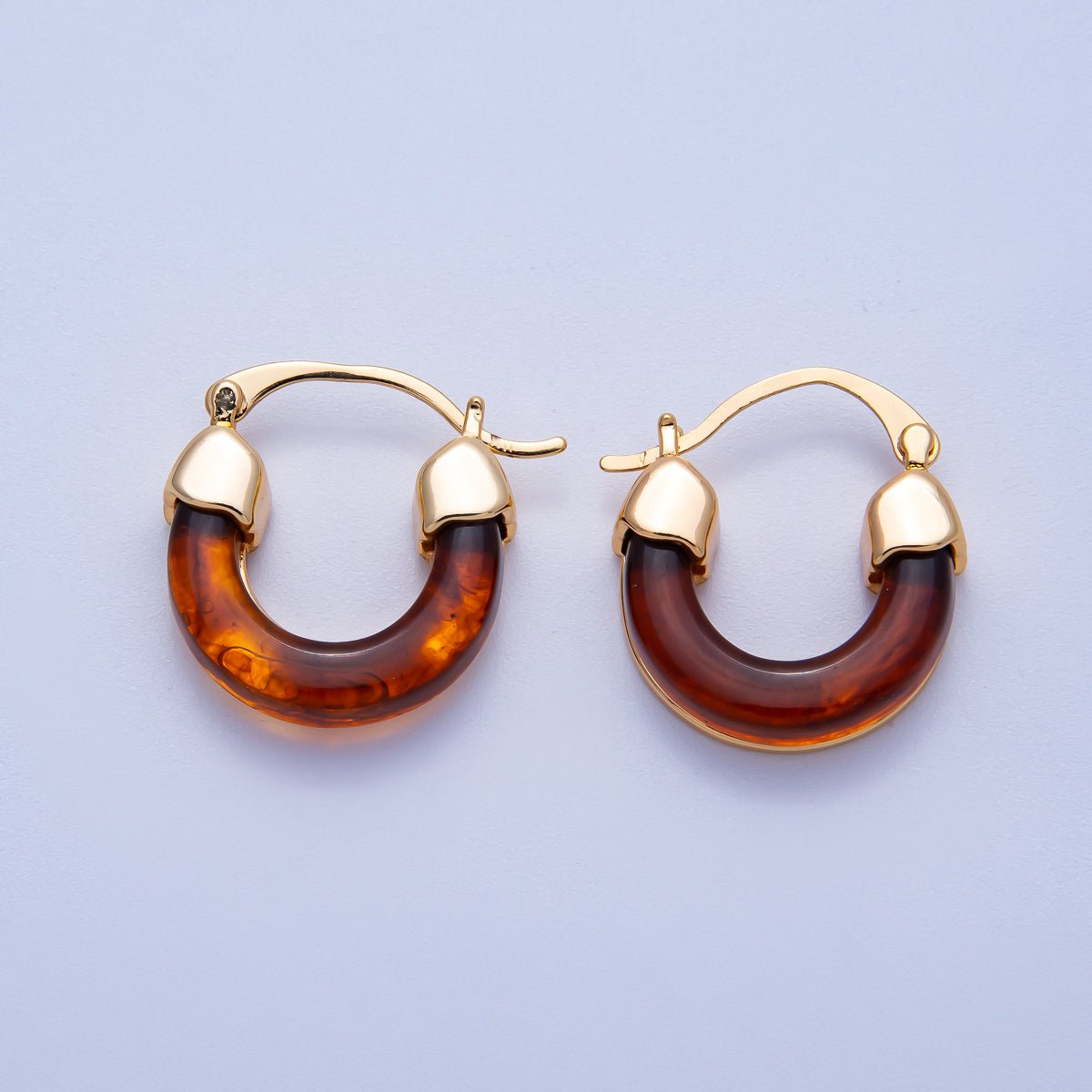 18K Gold Filled 25mm Resin Latch Hoop Earring | Earrings - 00281 ~ Earrings - 00286 - DLUXCA