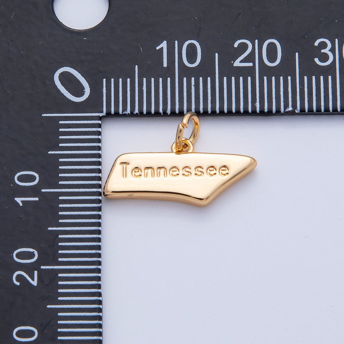 18K Gold Filled United States of America State Map Charm in Gold & Silver | AK064 - AK113 - DLUXCA