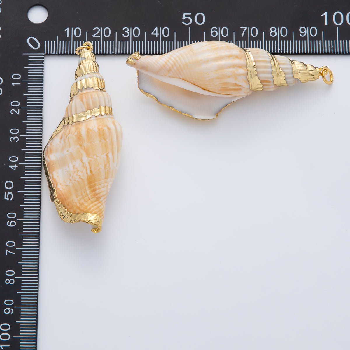 67mm Shell Pearl Sea Conch Shell Charm | AF1405 - DLUXCA