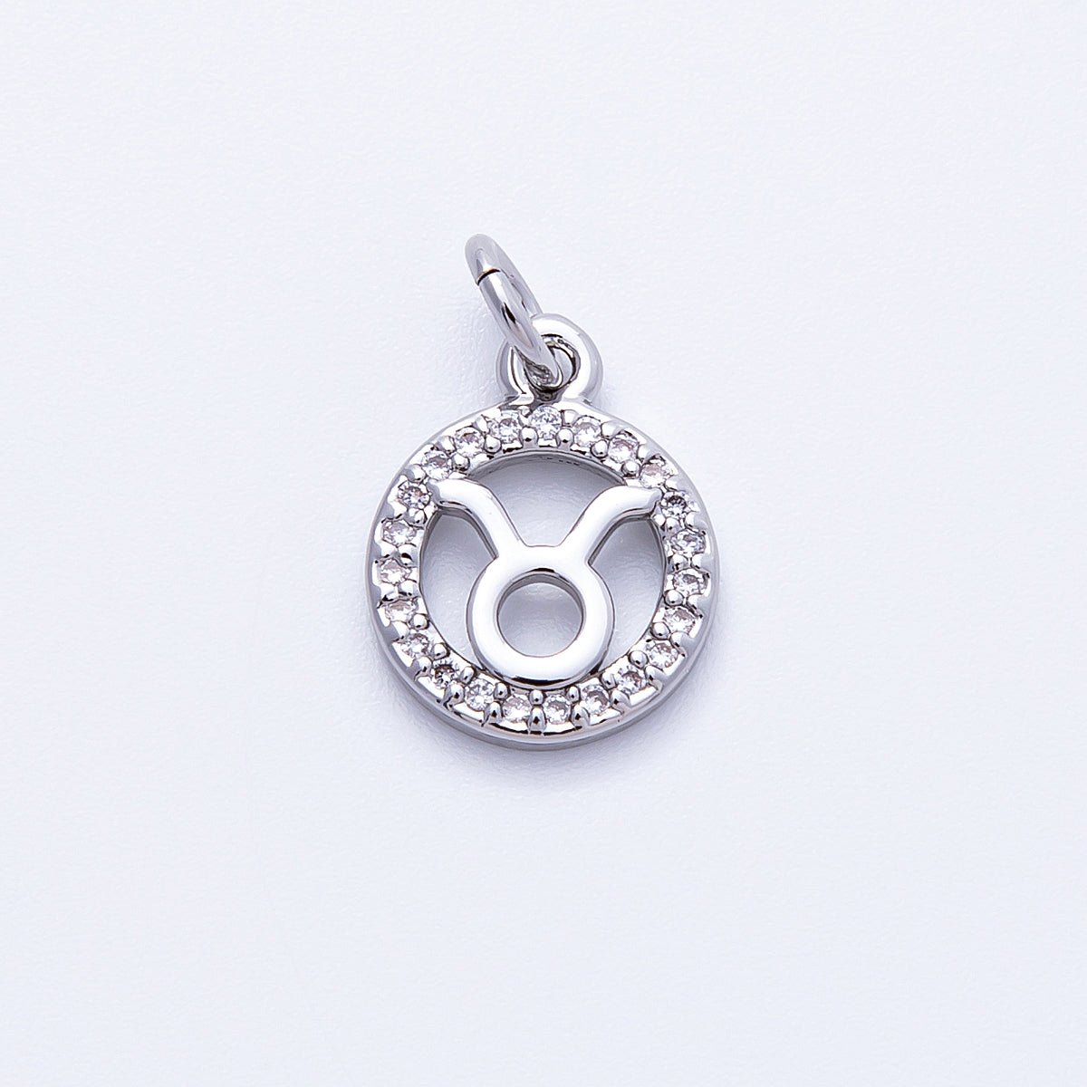 Silver 13.5mm Micro Paved CZ Personalized Zodiac Sign Charm | Charms - 00235 ~ Charms - 00246 - DLUXCA