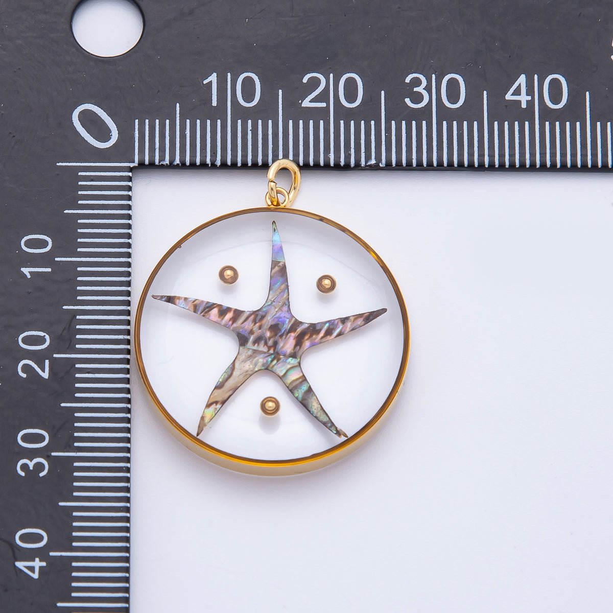 Stainless Steel 32.5mm Resin Under the Sea Starfish Charm | J804 - DLUXCA