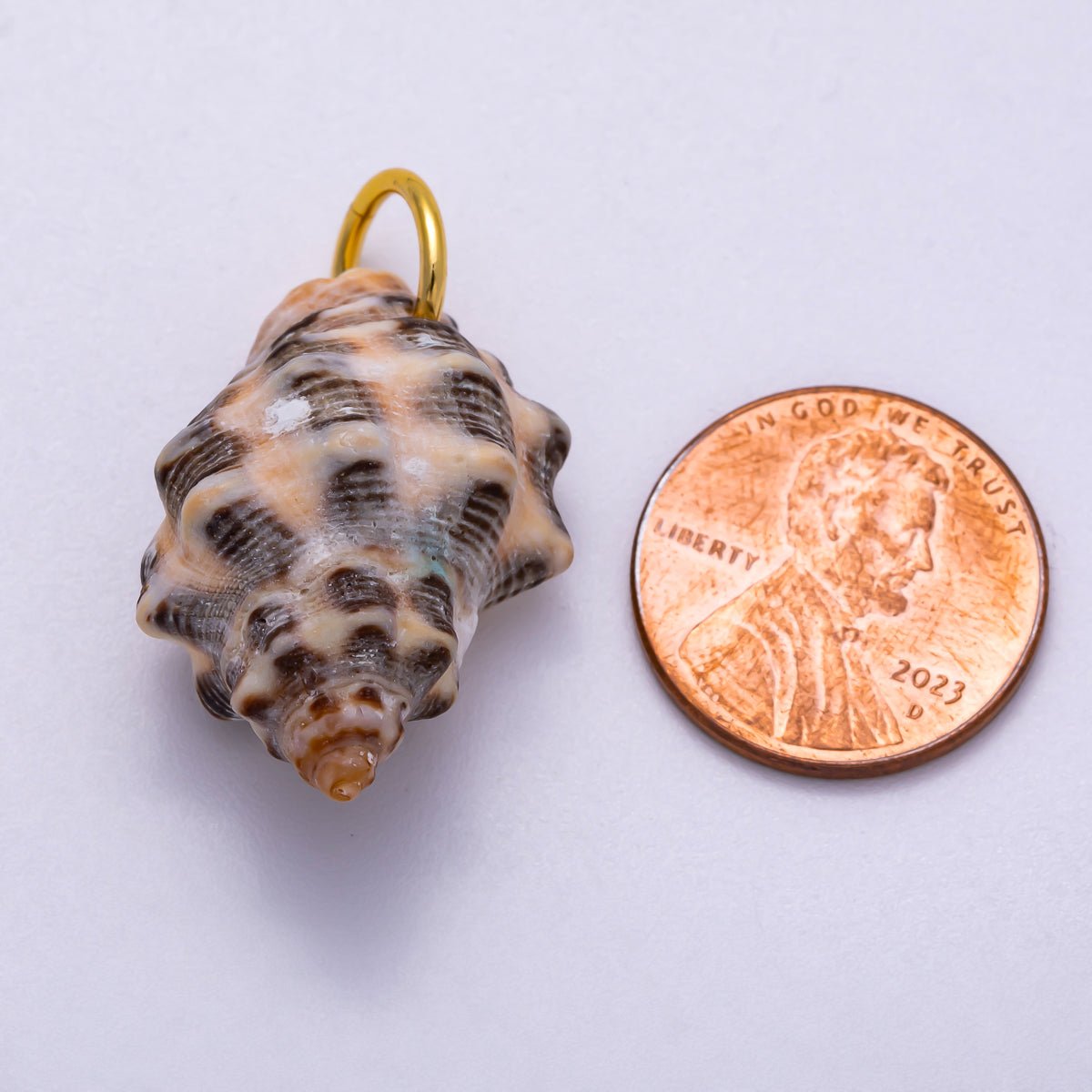 SUMMER 18K Gold Filled 31mm Natural Spotted Murex Conch Shell Charm | Charms - 00558 - DLUXCA