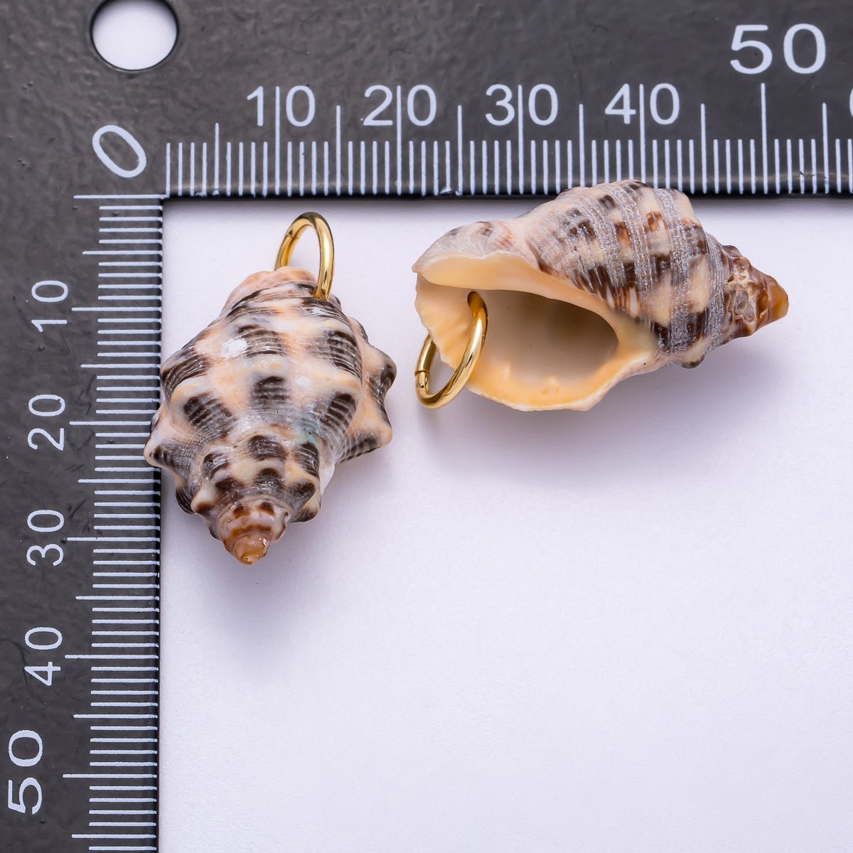 SUMMER 18K Gold Filled 31mm Natural Spotted Murex Conch Shell Charm | Charms - 00558 - DLUXCA