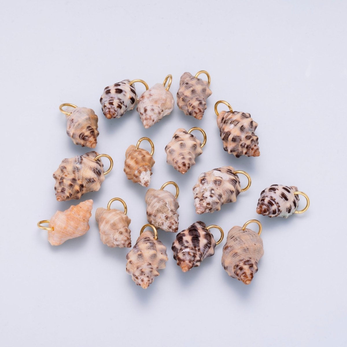 SUMMER 18K Gold Filled 31mm Natural Spotted Murex Conch Shell Charm | Charms - 00558 - DLUXCA