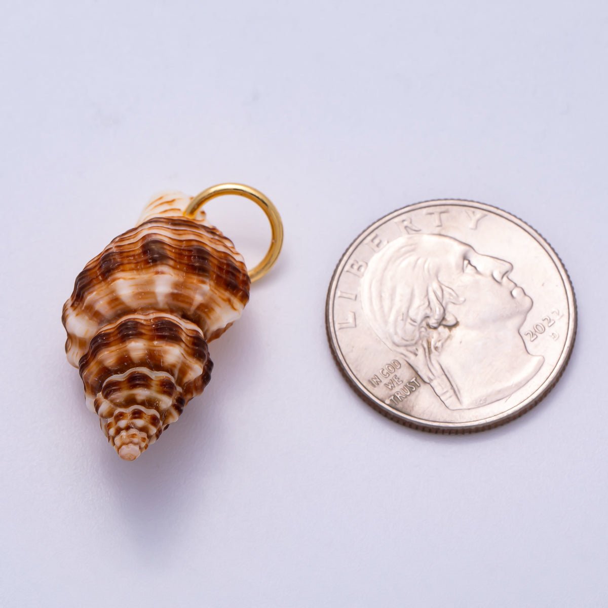 SUMMER 18K Gold Filled 33mm Natural Brown Striped Conch Shell Spiral Charm | Charms - 00557 - DLUXCA