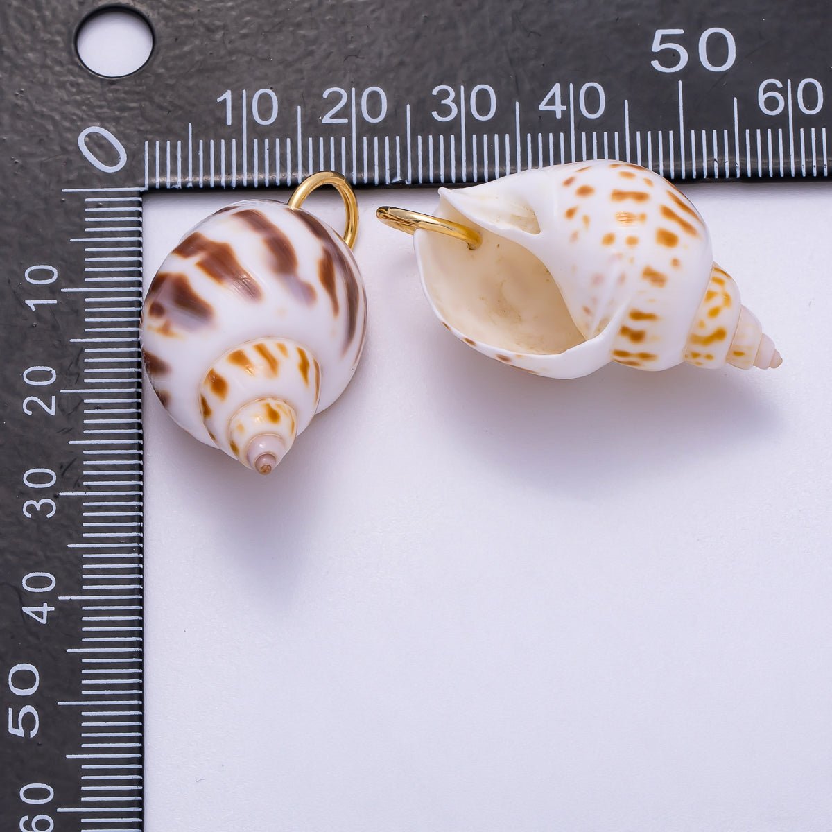 SUMMER 18K Gold Filled 33mm Spotted Conch Shell Charm | Charms - 00556 - DLUXCA
