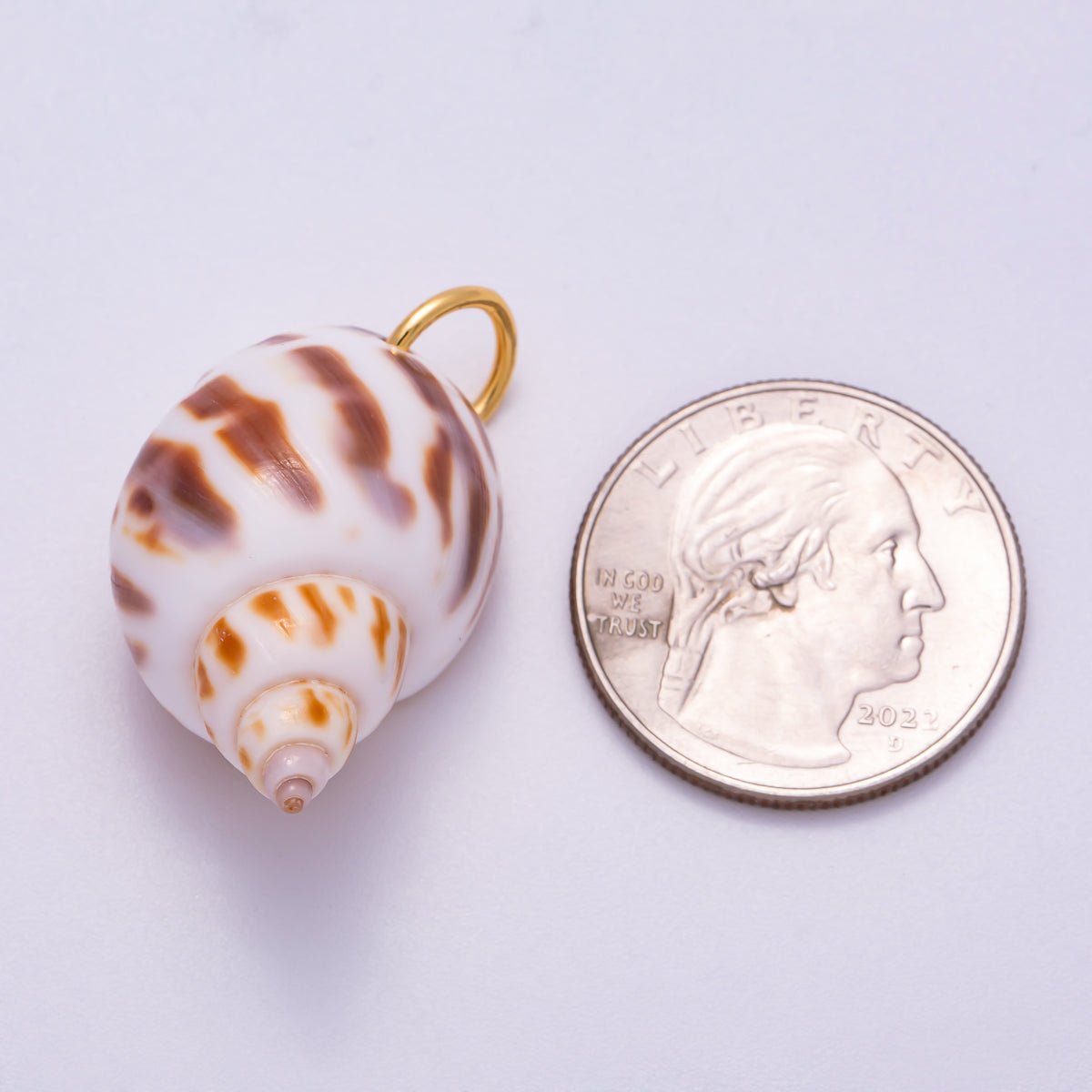 SUMMER 18K Gold Filled 33mm Spotted Conch Shell Charm | Charms - 00556 - DLUXCA
