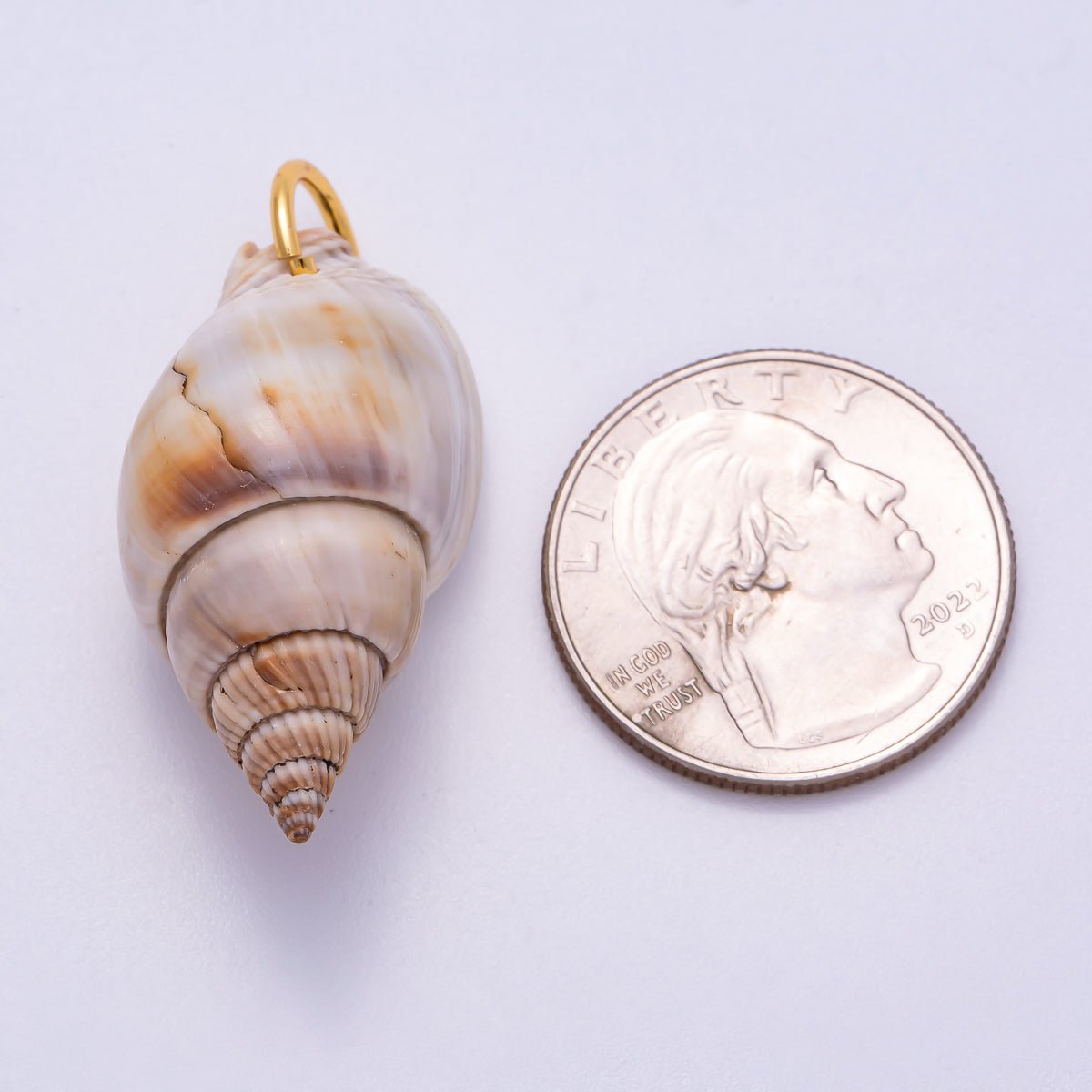 SUMMER 18K Gold Filled 34mm Natural Conch Sea Shell Charm | Charms - 00555 - DLUXCA