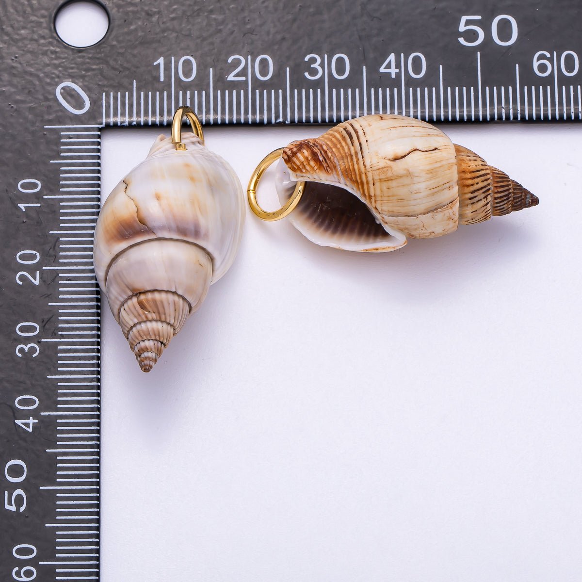 SUMMER 18K Gold Filled 34mm Natural Conch Sea Shell Charm | Charms - 00555 - DLUXCA
