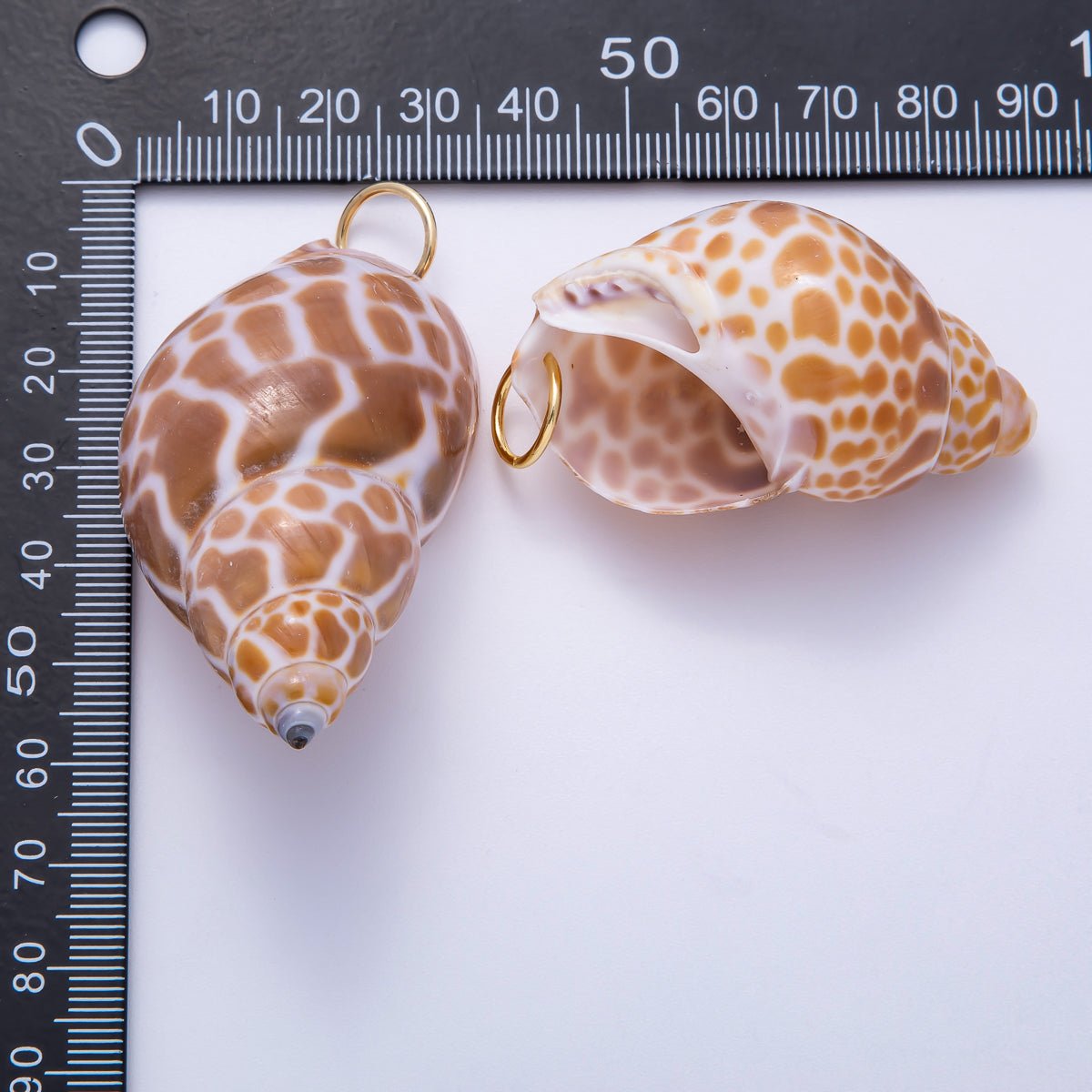 SUMMER 18K Gold Filled 52mm Natural Brown Spotted Conch Shell Pendant | Charms - 00559 - DLUXCA