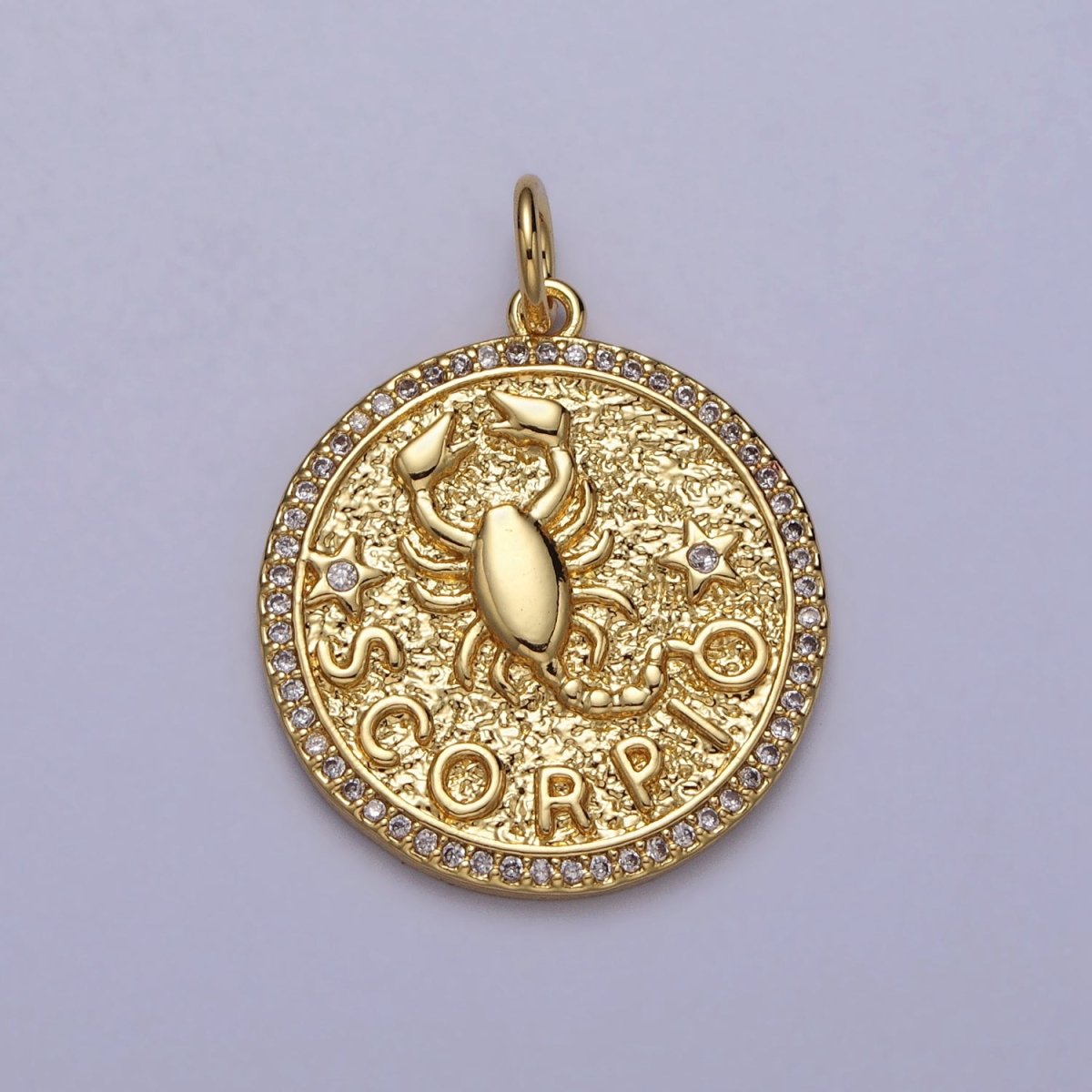 24K Gold Filled Zodiac Birth Star Hammered Round Micro Paved CZ Charm | A-456 - A-467 - DLUXCA