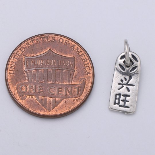 925 Sterling Silver Fu Gui Charm, Good Luck Charm Silver Riches Charm for Necklace Bracelet Earring, Chinese Symbol Charm SL-157 - DLUXCA