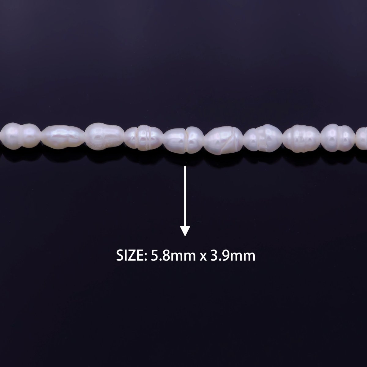 AAA Natural Freshwater Pearl 5.8mm x 4mm Beads 61 Pieces per Strand | WA-1331 Clearance Pricing - DLUXCA