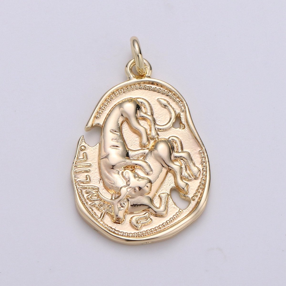 Dainty 14k Gold Filled Rustic Coin Charm Vintage Medallion for Bracelet Necklace Pendant Earring Findings for Jewelry Making D-404 - DLUXCA