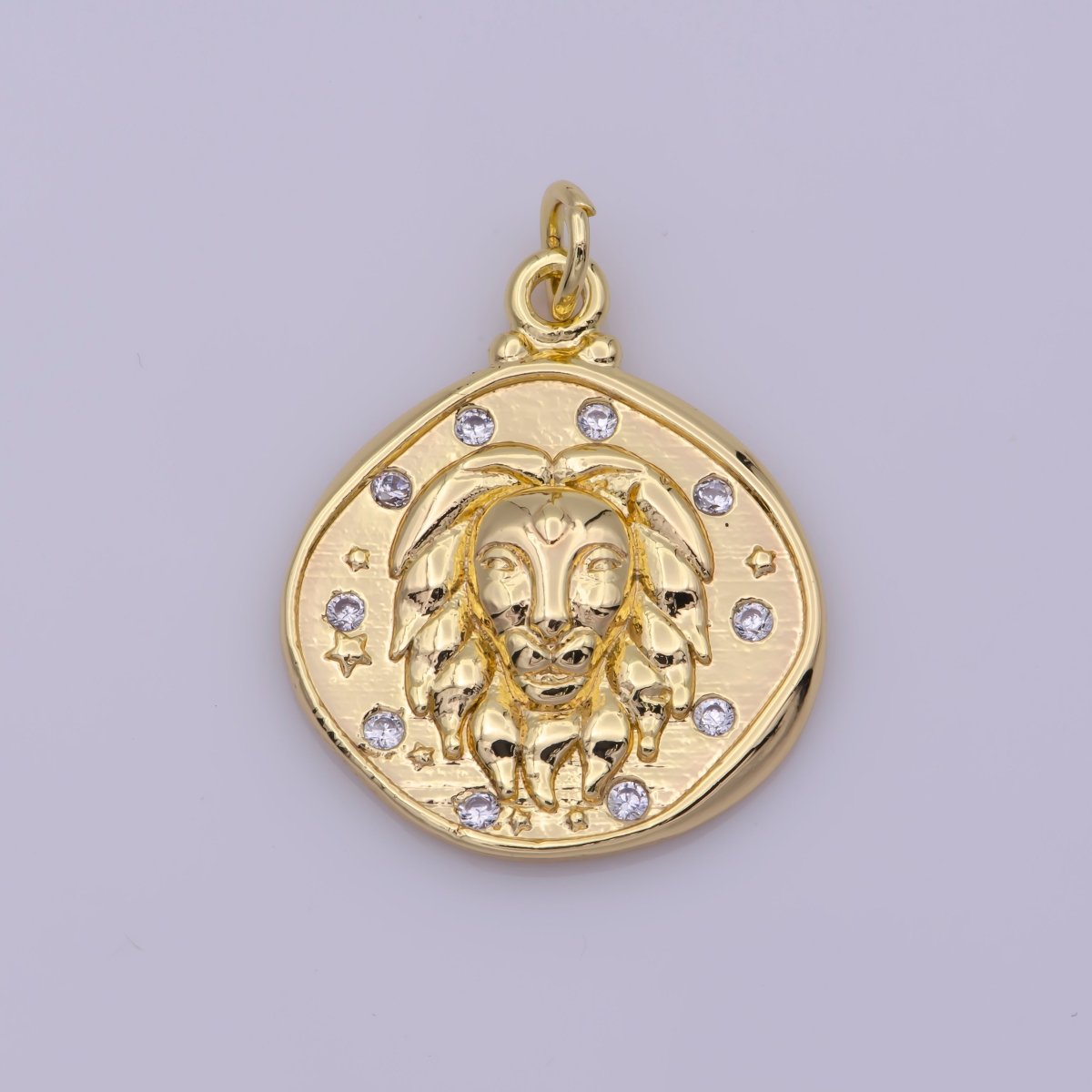 Dainty Lion Charm Leo Sign Coin Charm in 18K Gold Filled N-203 - DLUXCA