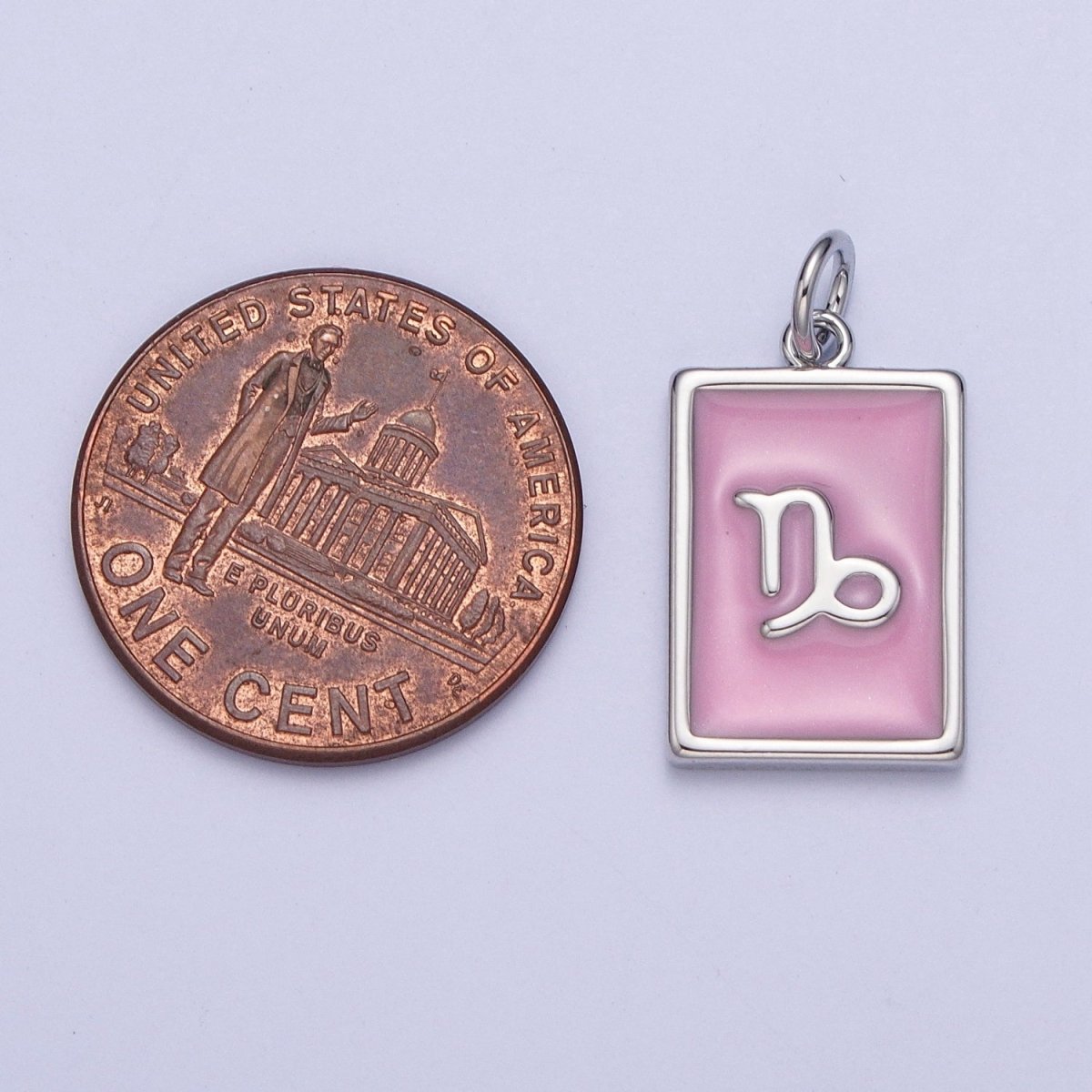 Dainty Silver Pink Enamel Zodiac Charm Mini Tag Astrology Pendant for Bracelet Earring Necklace Y2K Jewelry| X-781- X-792 - DLUXCA