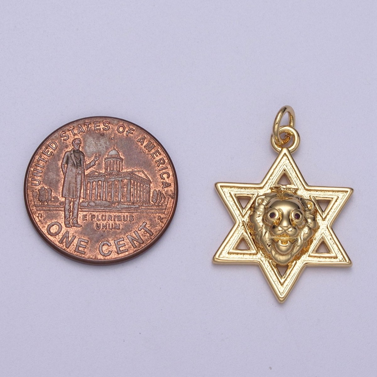Gold Star of David Lion of Judah Pendant, Solid Magen David Jewish Star Jewelry N-340 - DLUXCA