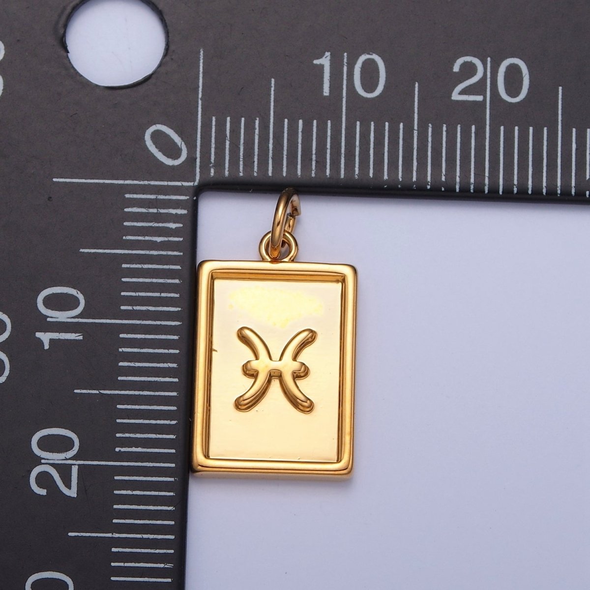Mini 24k Gold Filled Tag Zodiac Charm Dainty Tile Astrological Zodiac Signs Add on Charm W-204~W-215 - DLUXCA