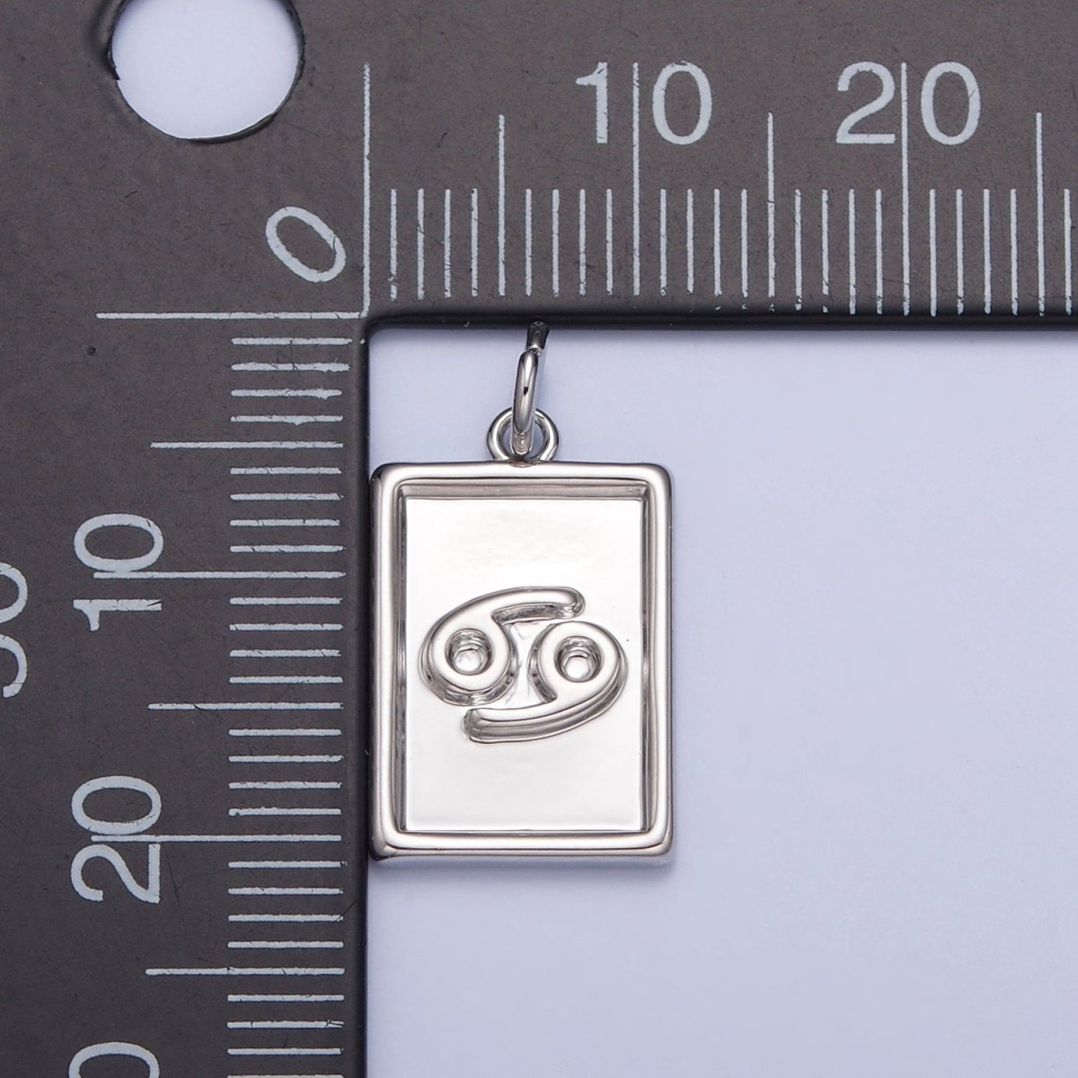 Mini Silver Tag Zodiac Charm Dainty Astrological Zodiac Signs Add on Charm W-216~W-227 - DLUXCA