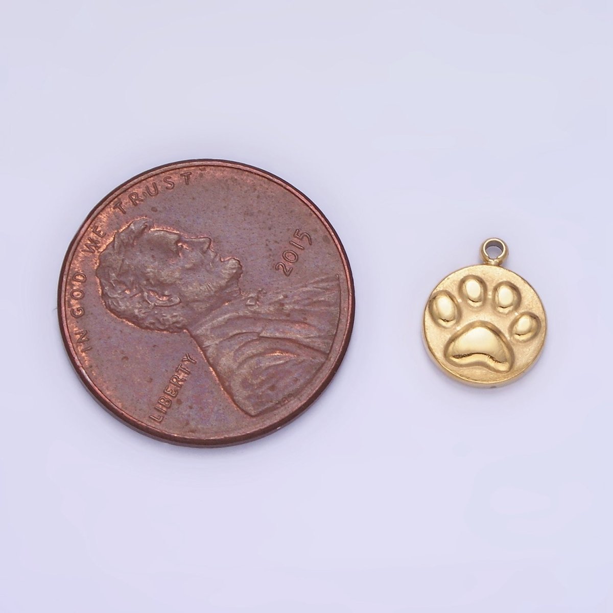 Stainless Steel 10mm Pet Pawprint Dog Round Mini Charm | P940 - DLUXCA