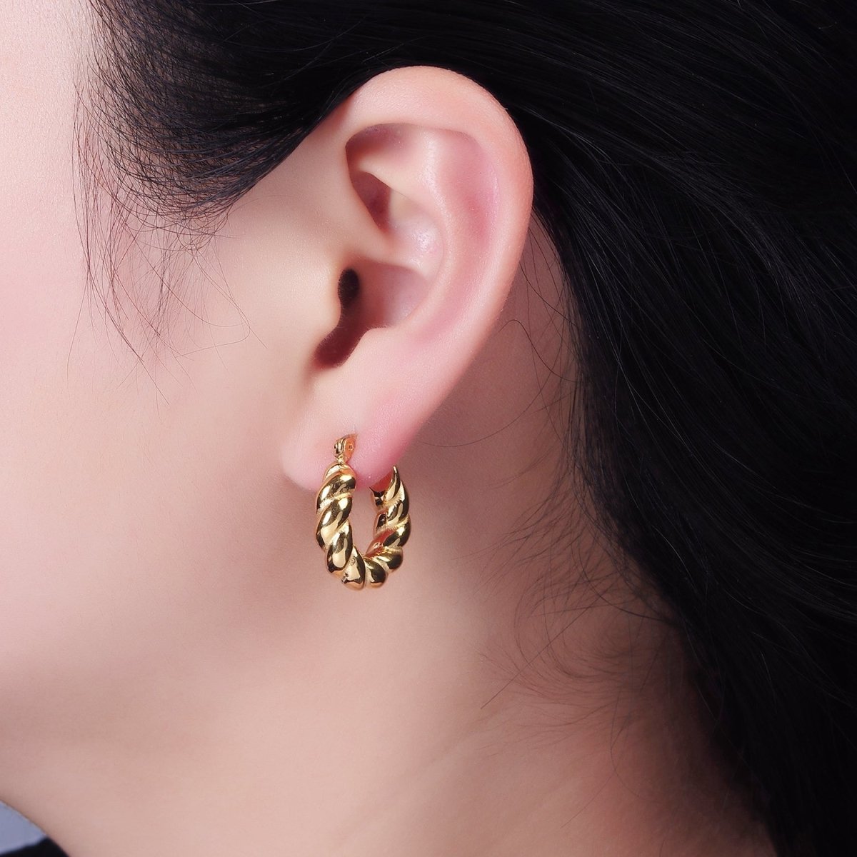 Stainless Steel 20mm Lined Croissant Latch Hoop Earrings | AE392 - DLUXCA