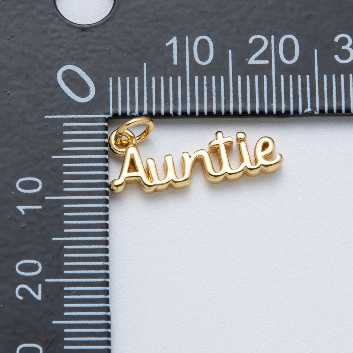 14K Gold Filled 20.5mm "Auntie" Minimalist Script Charm | Charms - 00032 - DLUXCA