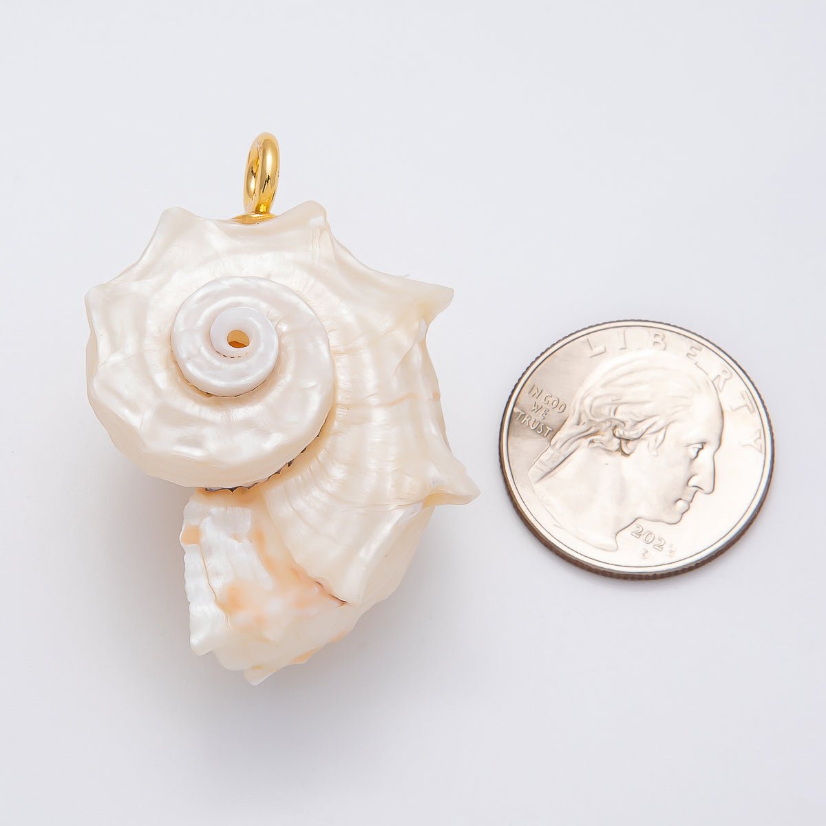 18K Gold Filled Natural Authentic Clam Seashell Big Beach Charm | CHARMS - 00435 - DLUXCA