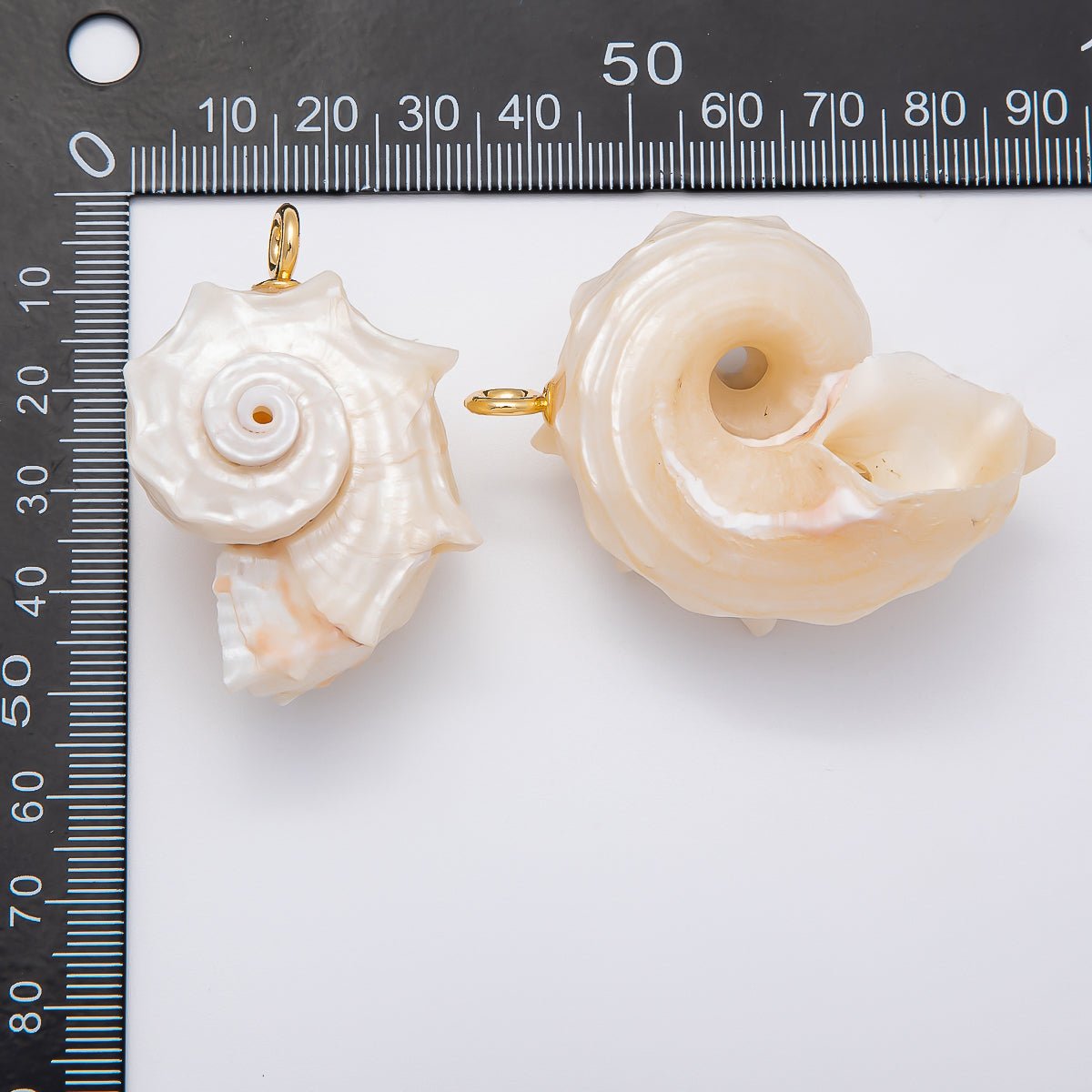 18K Gold Filled Natural Authentic Clam Seashell Big Beach Charm | CHARMS - 00435 - DLUXCA