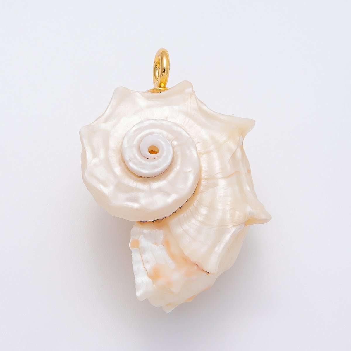 18K Gold Filled Natural Authentic Clam Seashell Big Beach Charm | CHARMS - 00435 - DLUXCA