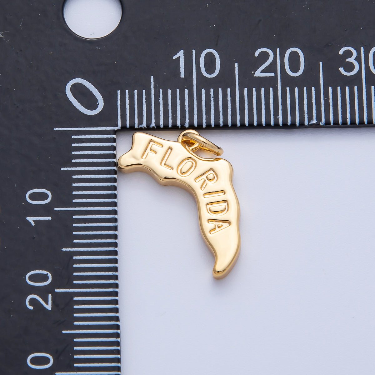 18K Gold Filled United States of America State Map Charm in Gold & Silver | AK064 - AK113 - DLUXCA