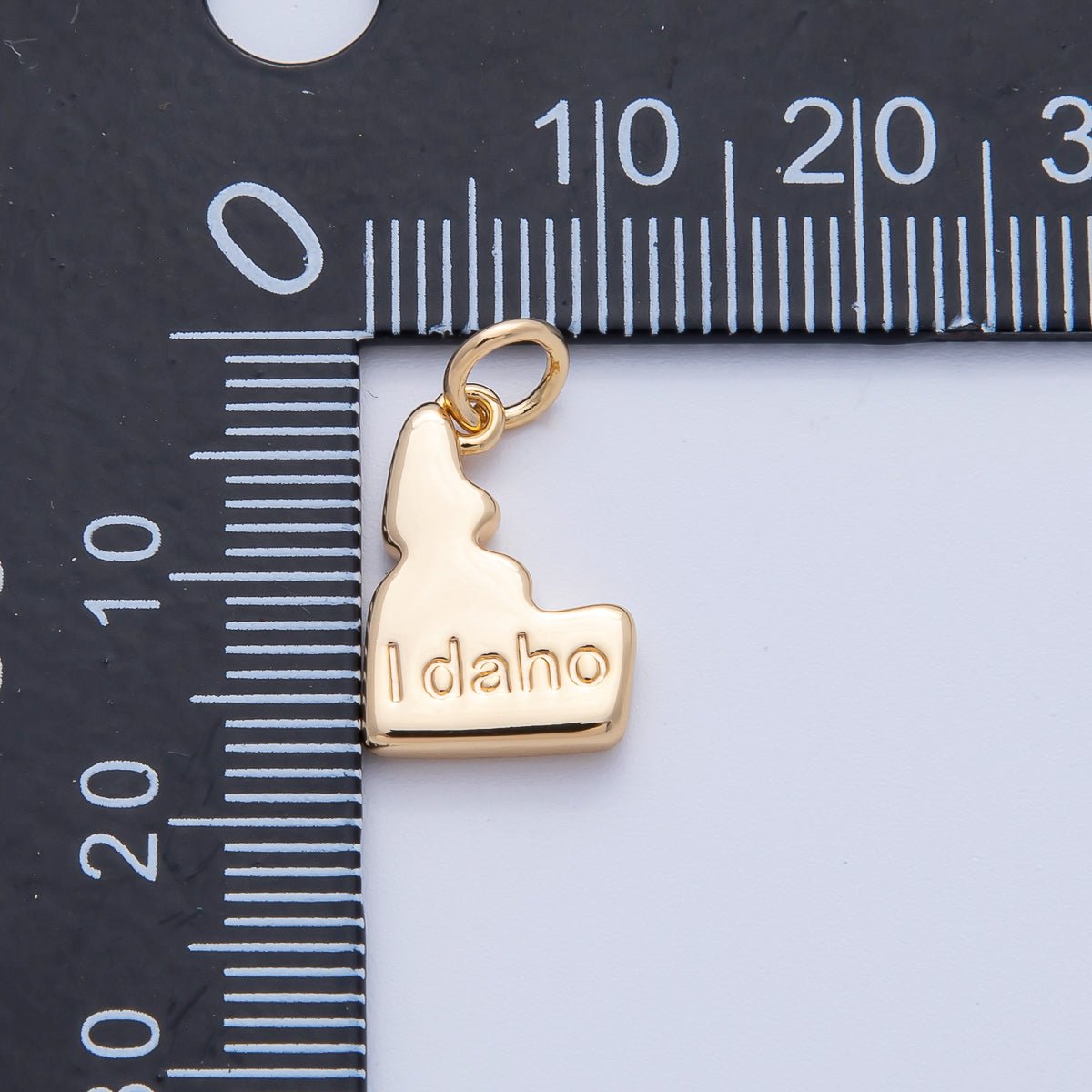 18K Gold Filled United States of America State Map Charm in Gold & Silver | AK064 - AK113 - DLUXCA