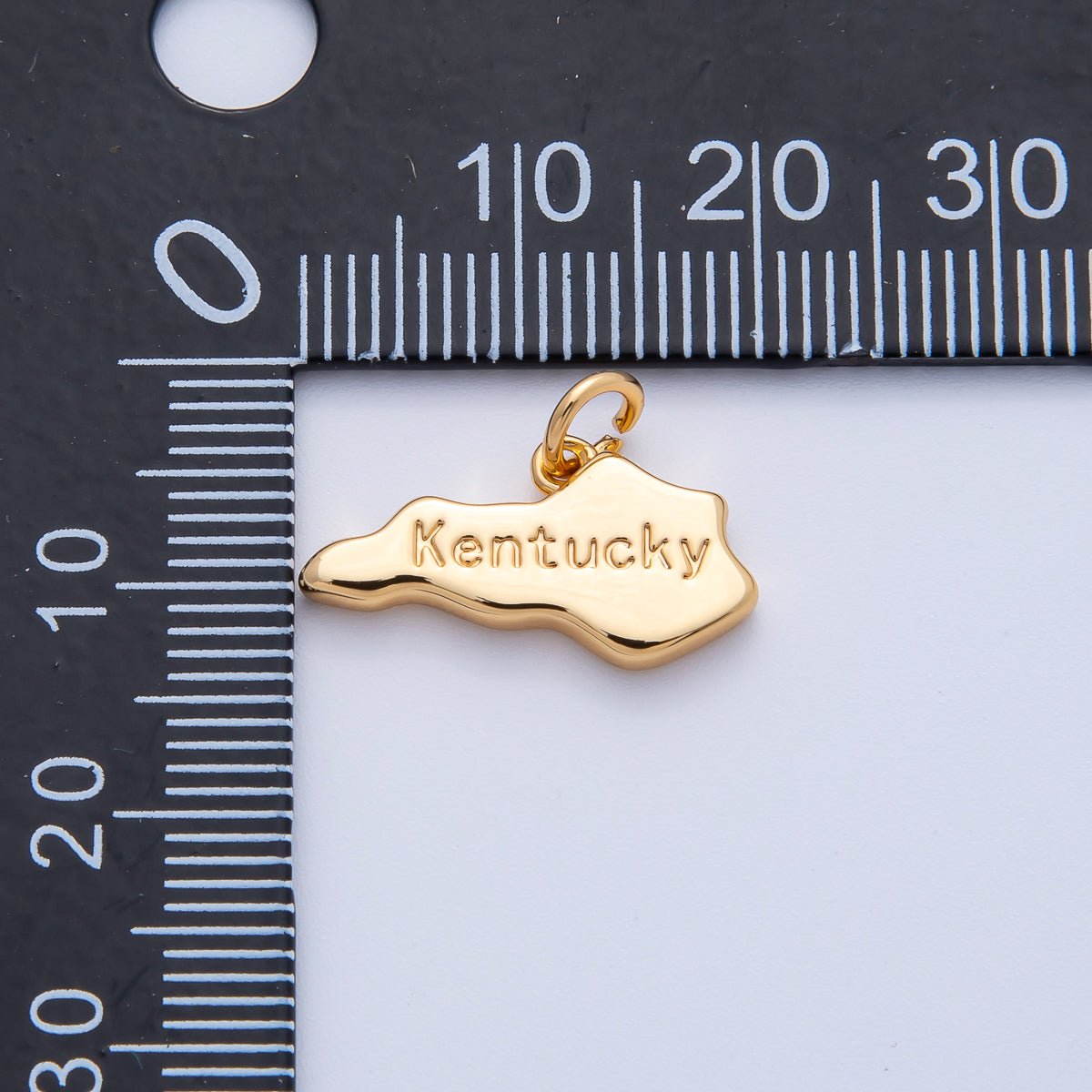 18K Gold Filled United States of America State Map Charm in Gold & Silver | AK064 - AK113 - DLUXCA