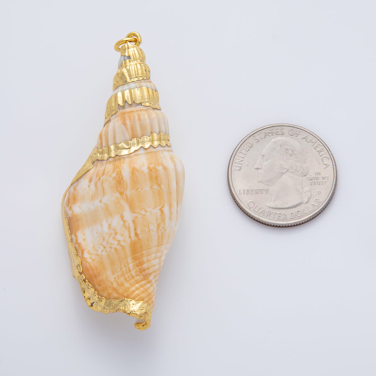 67mm Shell Pearl Sea Conch Shell Charm | AF1405 - DLUXCA