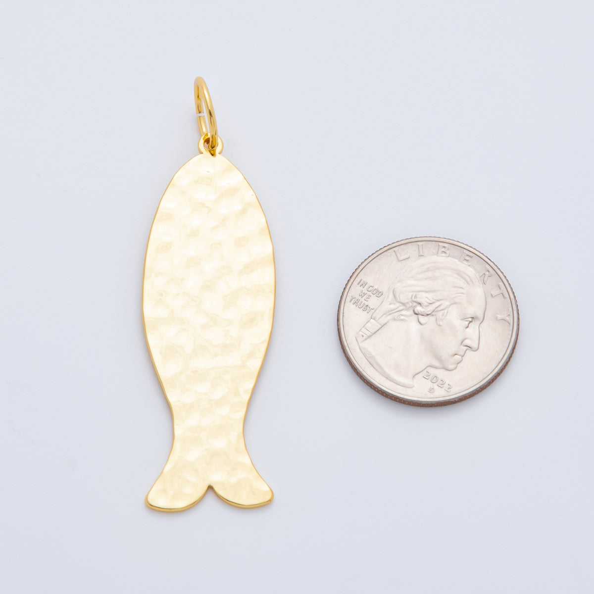 18K Gold Filled 61.6mm Minimalist Sardine Nautilus Fish Charm | AF1312