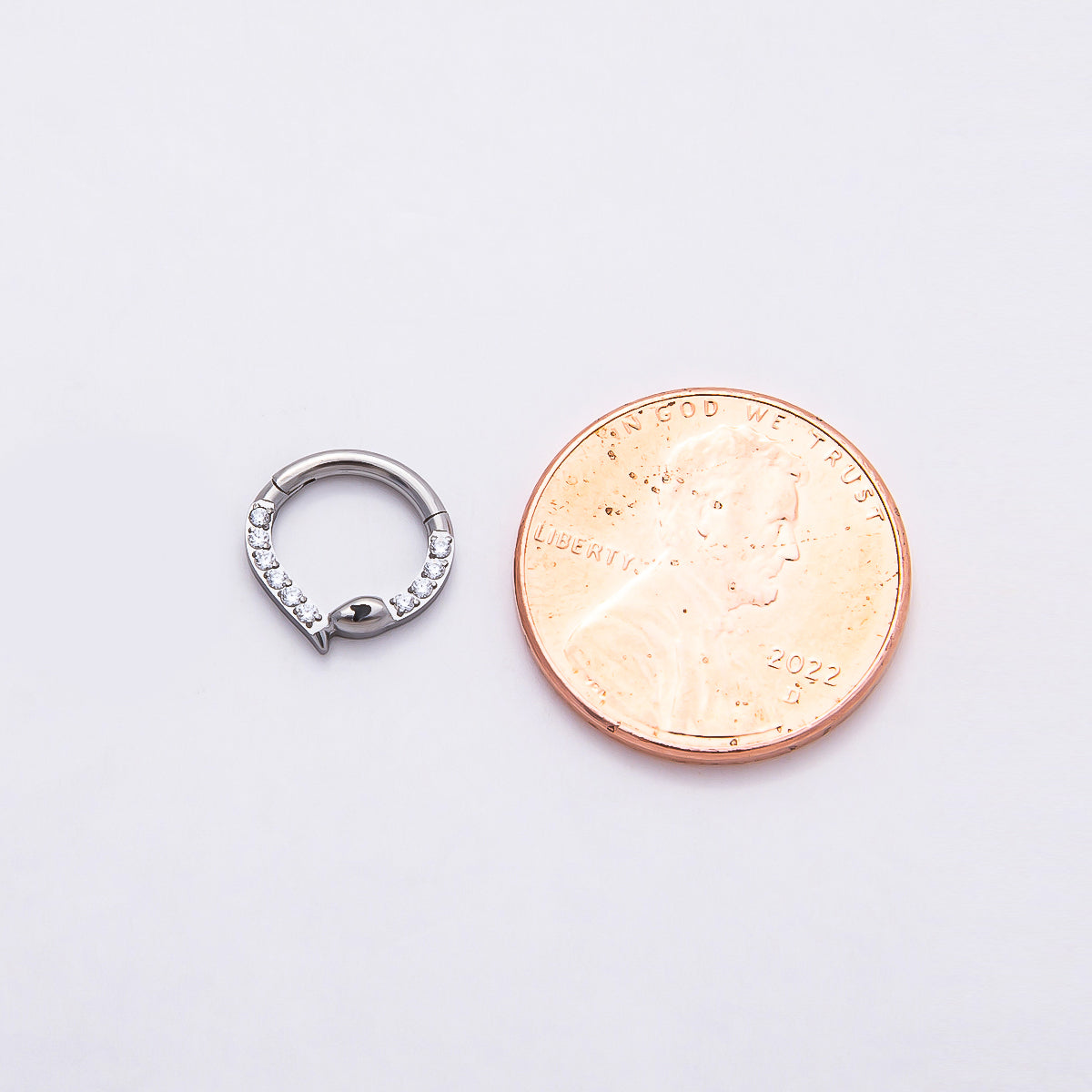 Stainless Steel 10mm Micro Paved CZ Snake Pull Gate Round Finding in Gold & Silver | Findings-00190 Findings-00191