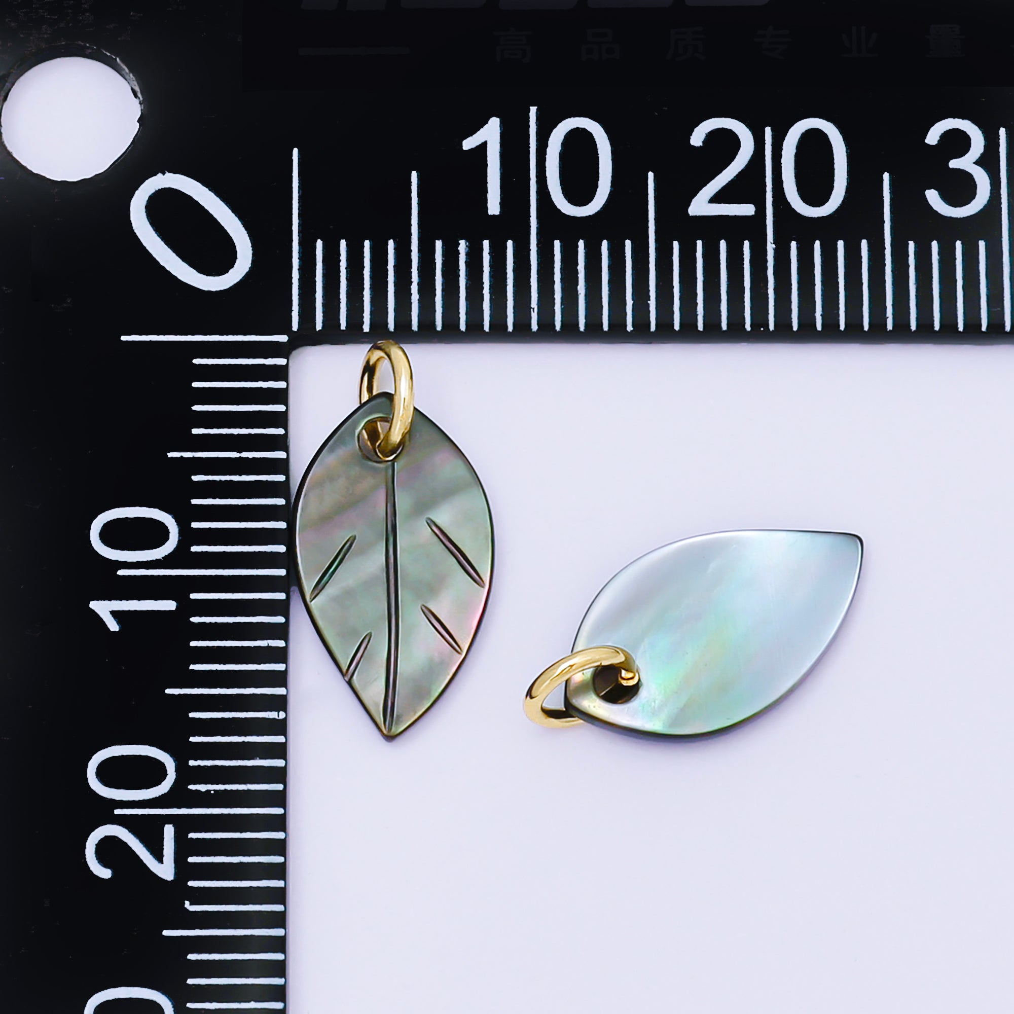 24K Gold Filled 14mm Abalone Gemstone Leaf Nature Mini Charm | AF567