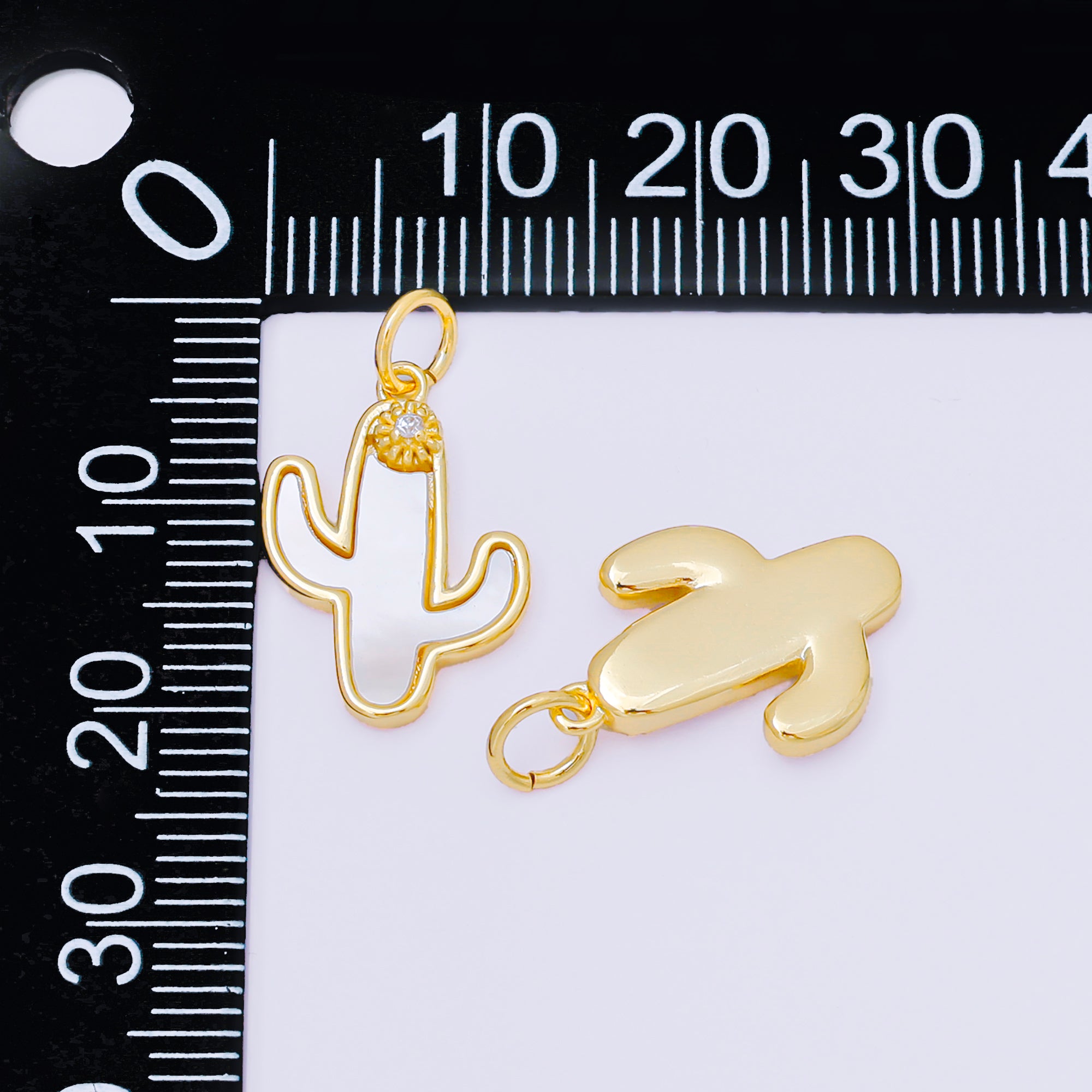 24K Gold Filled 18mm Round CZ Desert Cactus Plant Shell Pearl Charm | M908