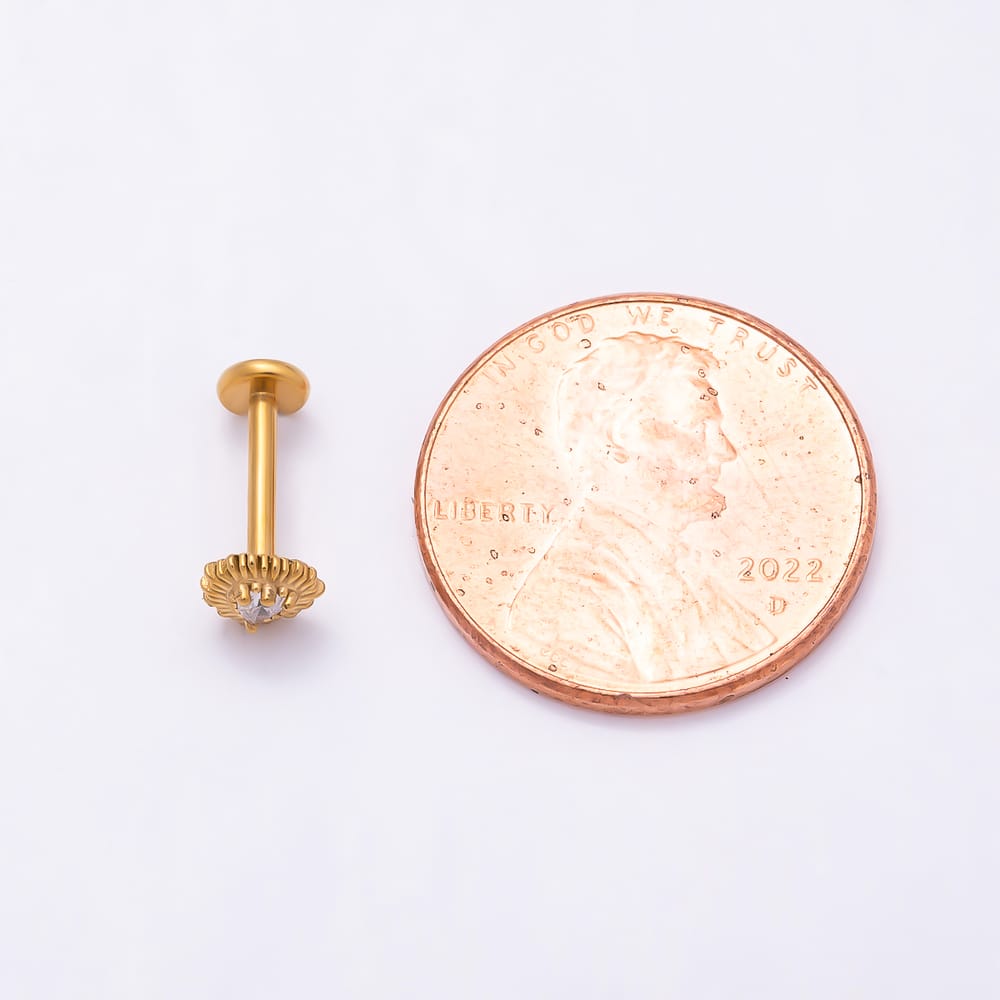 Titanium 5mm CZ Heart Sunburst Cartilage Piercing Flat Back Stud in Gold & Silver | BJ-00325 BJ-00326