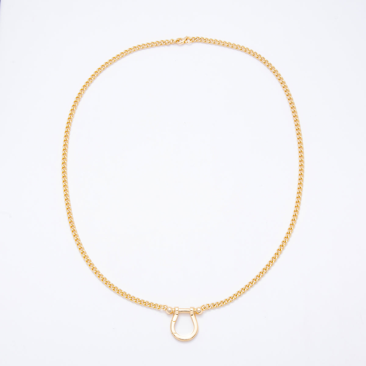 Stainless Steel 6mm Horseshoe Buckle Clasp Curb Chain 25 Inch Necklace | WA-00305