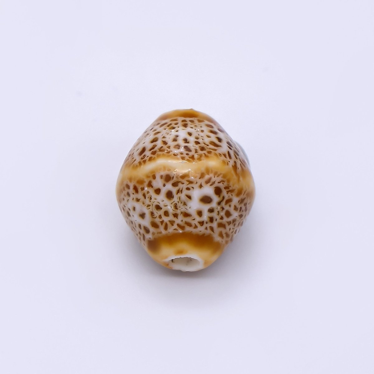 Ceramic Art Colorful Mossy Pod - Shaped Bead Spacer | B - 689 B - 691 B - 692 B - 694, B - 696 - B - 700 - DLUXCA