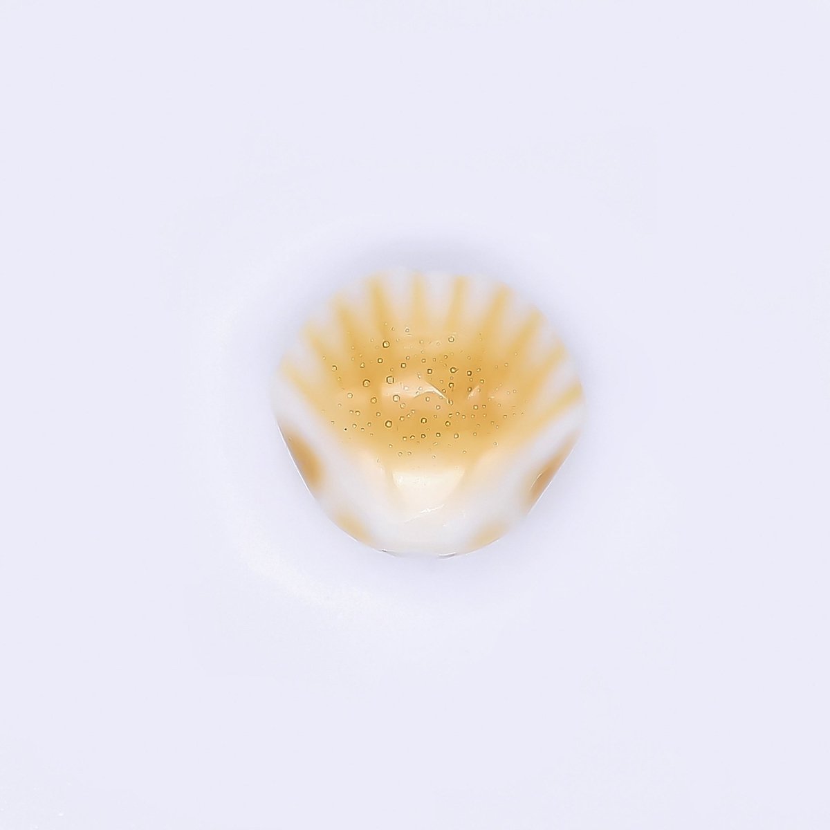 Ceramic Art Colorful Seashell - Shaped Bead Spacer | B - 799, B - 801 - B - 805 - DLUXCA