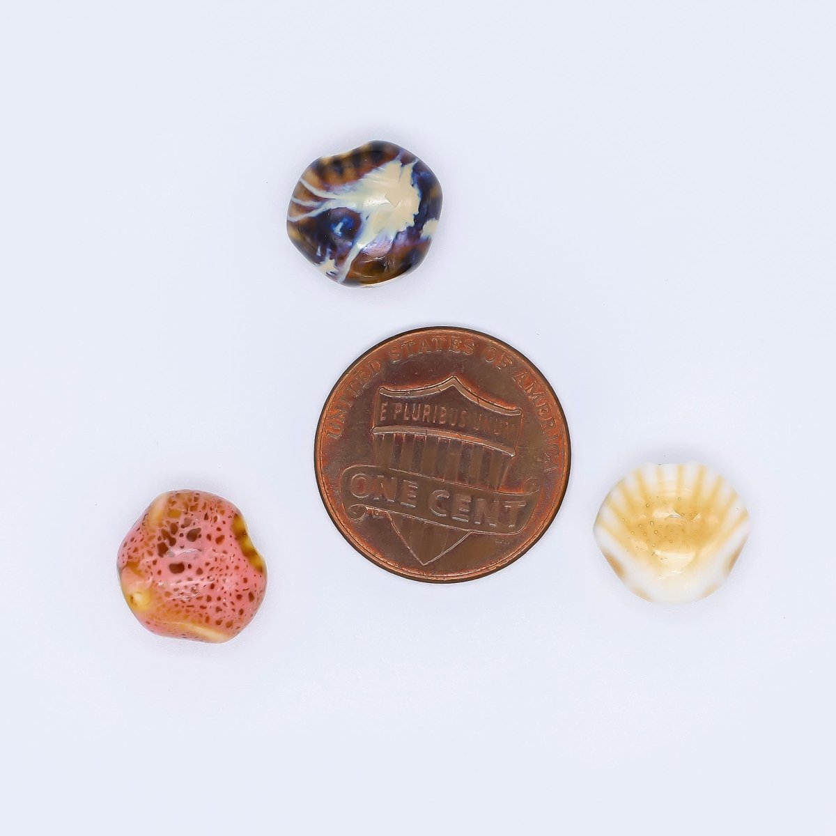 Ceramic Art Colorful Seashell - Shaped Bead Spacer | B - 799, B - 801 - B - 805 - DLUXCA