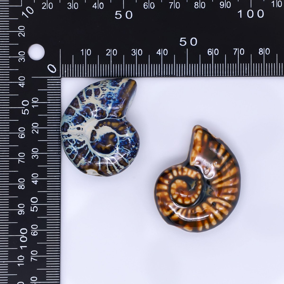Ceramic Art Colorful Spiral Snail Shell Bead Spacer | B - 850 - B - 854 - DLUXCA