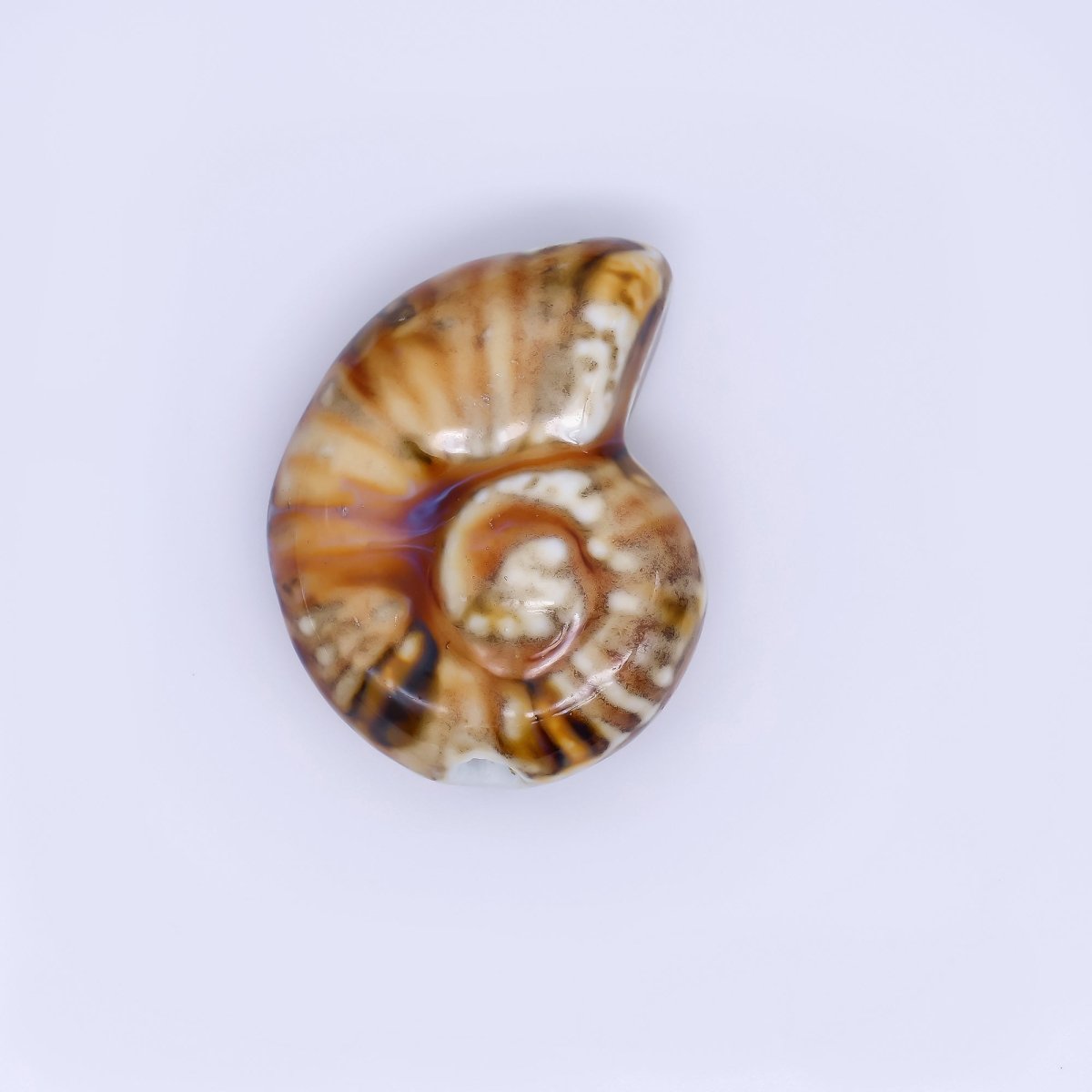 Ceramic Art Colorful Spiral Snail Shell Bead Spacer | B - 850 - B - 854 - DLUXCA