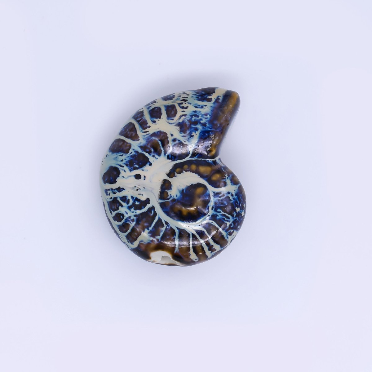 Ceramic Art Colorful Spiral Snail Shell Bead Spacer | B - 850 - B - 854 - DLUXCA