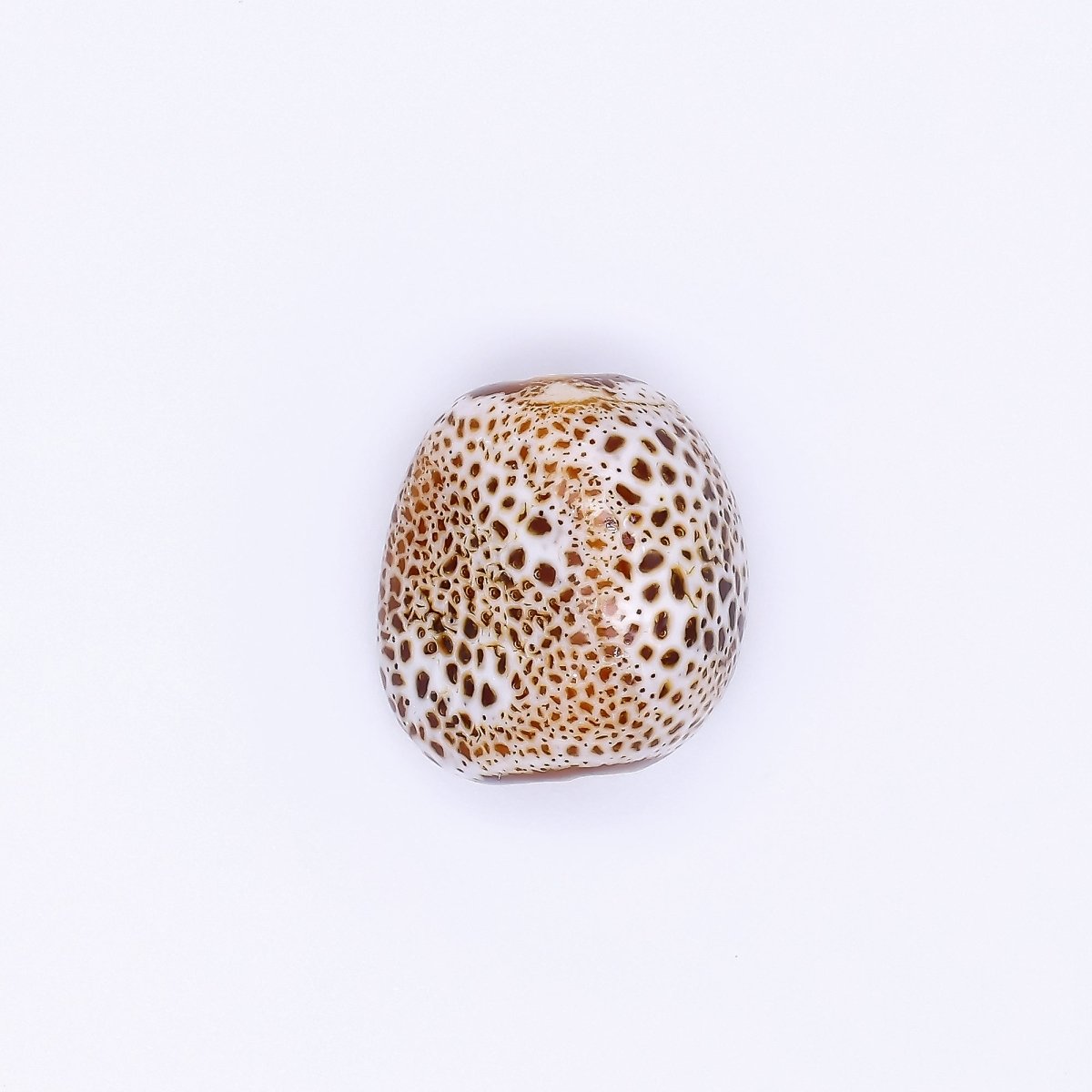 Ceramic Art Colorful Stone - Like Round Bead Spacer | B - 860 - B - 866 - DLUXCA