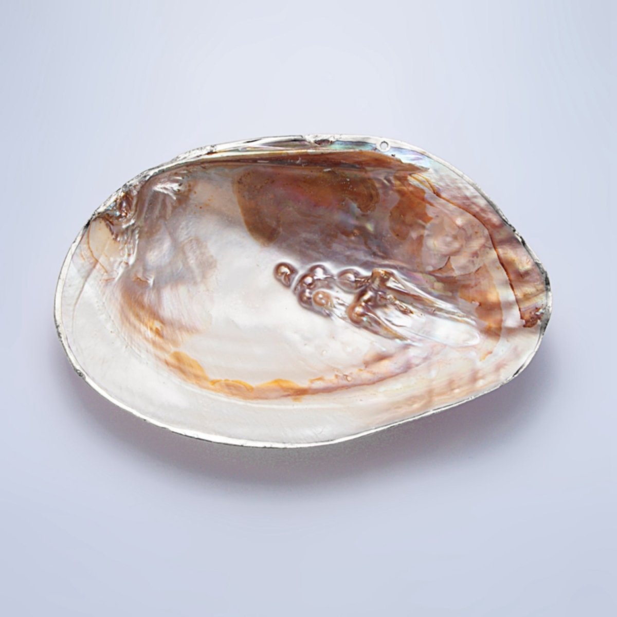 Natural Freshwater Pearl Tray in Gold & Silver Findings | P1894 - DLUXCA