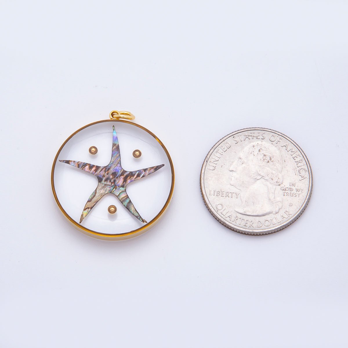 Stainless Steel 32.5mm Resin Under the Sea Starfish Charm | J804 - DLUXCA