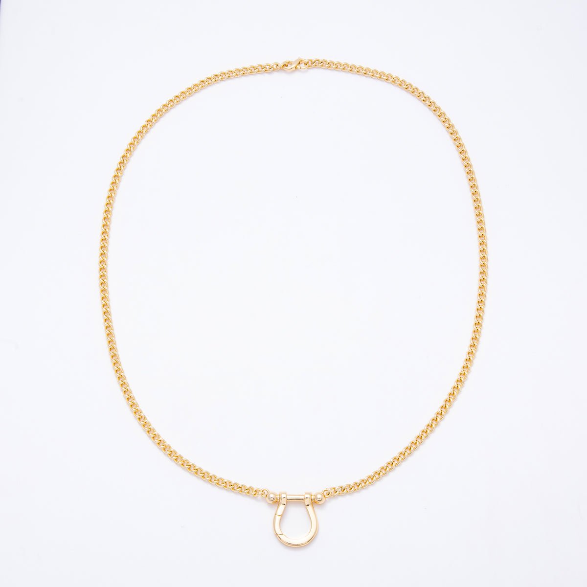Stainless Steel 6mm Horseshoe Buckle Clasp Curb Chain 25 Inch Necklace | WA-00305 - DLUXCA