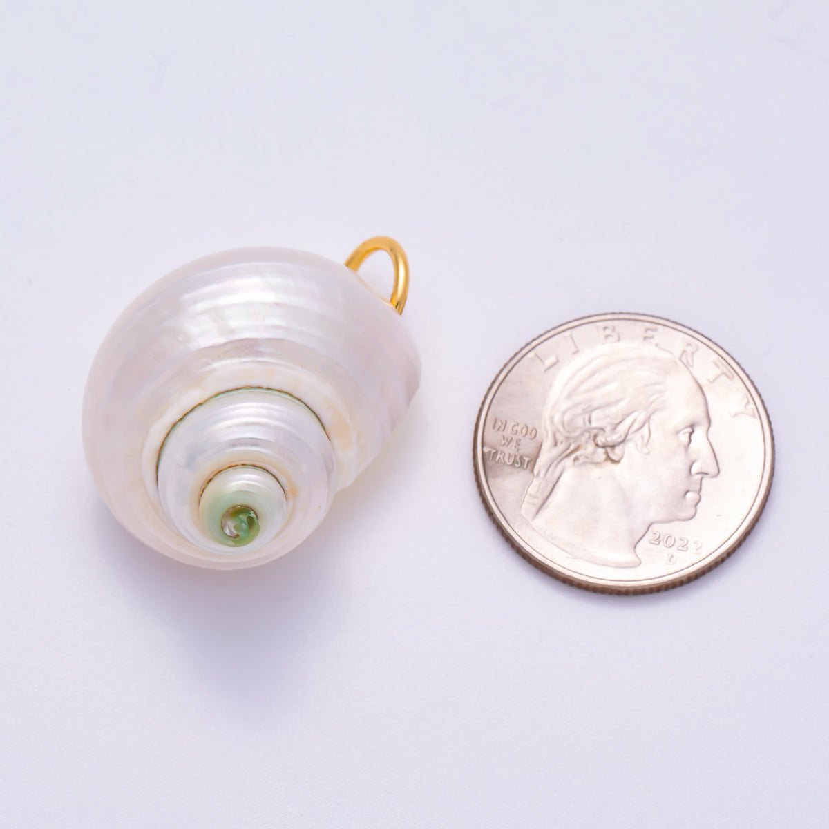 SUMMER 18K Gold Filled 31mm Freshwater Pearl Nautical Conch Sea Shell Charm | Charms - 00554 - DLUXCA